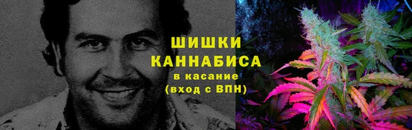 гашик Белокуриха
