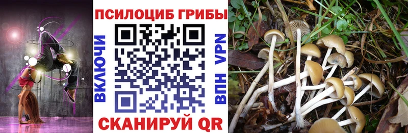 Псилоцибиновые грибы мухоморы  Богданович 