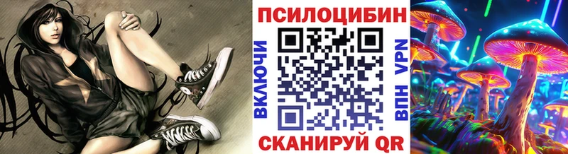 Галлюциногенные грибы ЛСД Богданович
